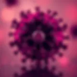 Procalcitonin biomarker in clinical diagnostics