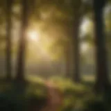 Sunlight filtering through trees, representing natural vitamin D synthesis