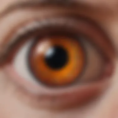 Uveitis: Impact on Vision in RA Depiction of uveitis complications related to rheumatoid arthritis.