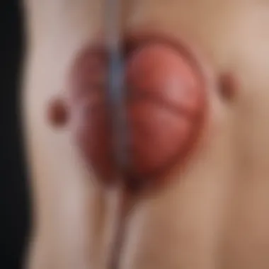 Cardiovascular Examination in FH Patients Clinical examination of cardiovascular implications in FH