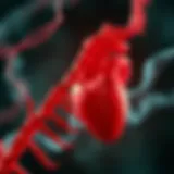 Genetic markers associated with atrial fibrillation