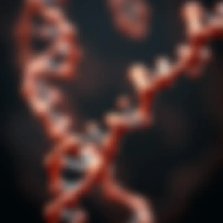 Genetic variations of ACTN3 and their implications in sports