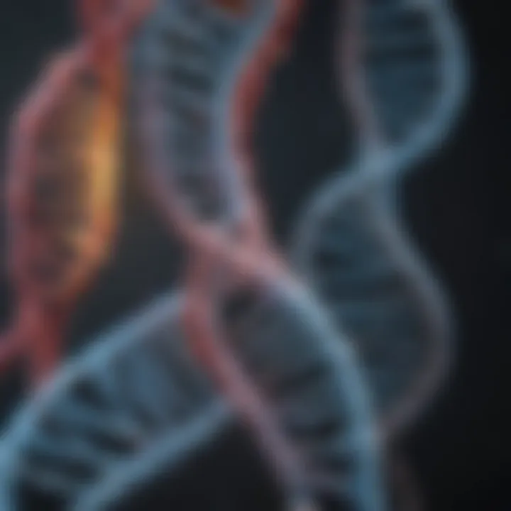 Graphical representation of genomic DNA structure.