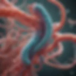 Microscopic view of Helicobacter pylori bacteria