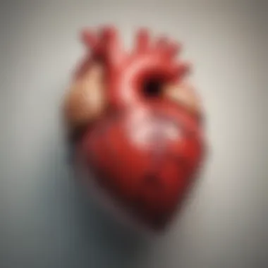 Symbolism of Heart to Heart Donation A heart symbol representing compassion and connection