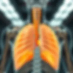 Anatomical diagram of the diaphragm showing the phrenic nerve