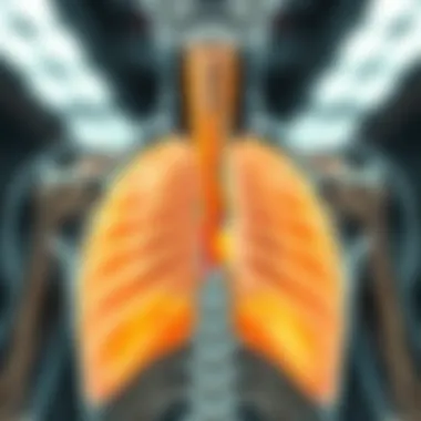 Anatomical diagram of the diaphragm showing the phrenic nerve