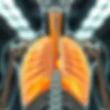 Anatomy of the Diaphragm and Phrenic Nerve Anatomical diagram of the diaphragm showing the phrenic nerve