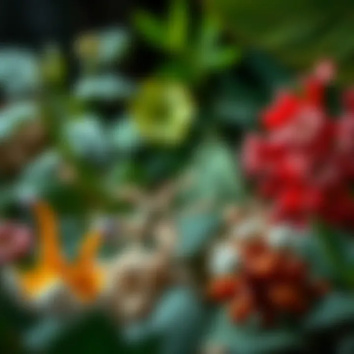 Active Compounds in Pancreatic Health Herbs An illustration showing the active compounds in various herbs.