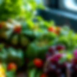 A vibrant display of fresh herbs known for their health benefits.