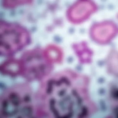 Collage of histopathological findings and diagnostics