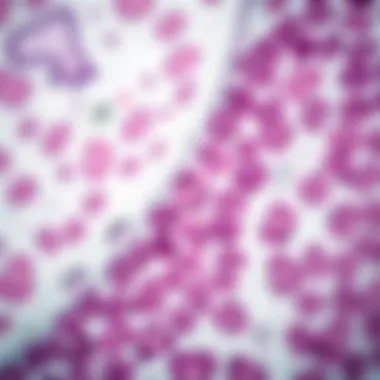 Histopathology education materials in PDF format