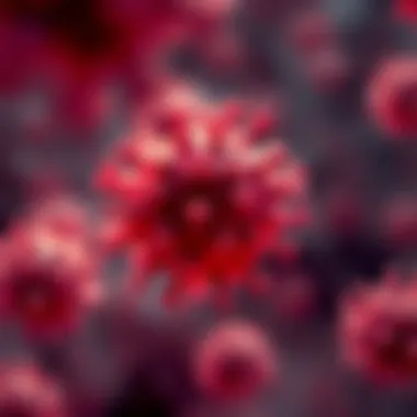 Immunological Responses to HIV Immunological responses to HIV in different sexes