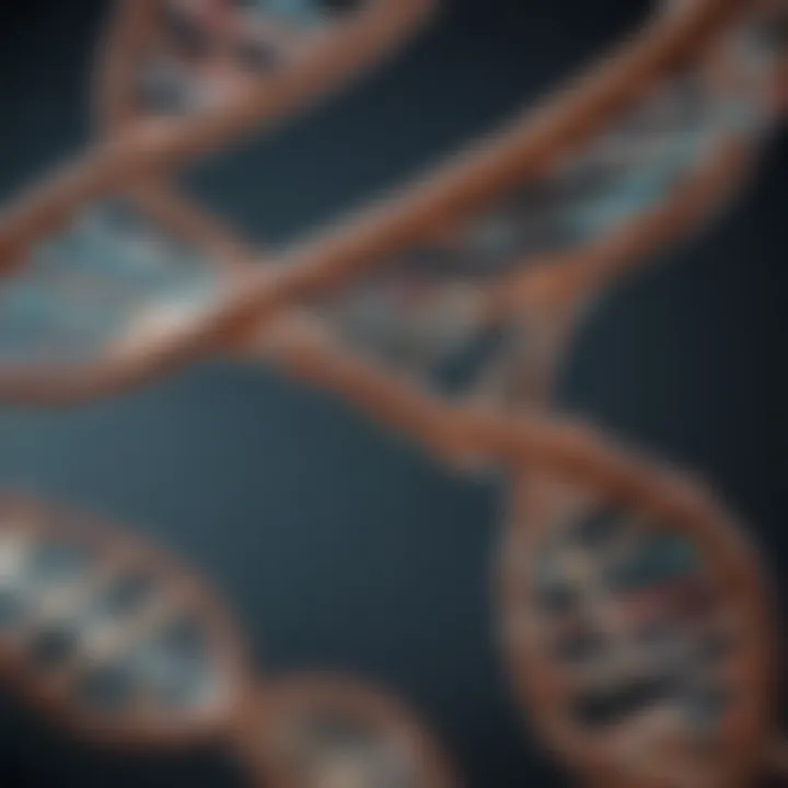 Illustration of DNA double helix structure