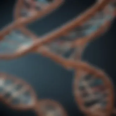 Understanding the DNA Double Helix Illustration of DNA double helix structure
