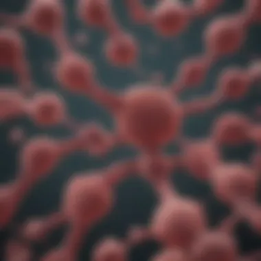 Microscopic View of Liver Cell Lines Overview of liver cell line characteristics under a microscope