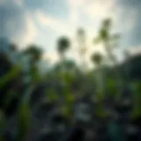 Diversity of Ecosystems Under Climate Stress Diverse ecosystems affected by climate change