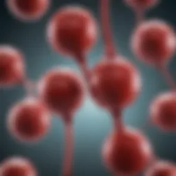 An illustration depicting the mechanism of sickle cell disease affecting blood cells.