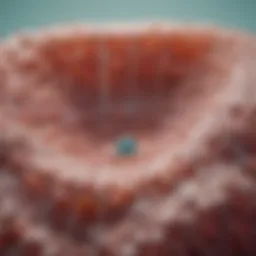 Diagram illustrating the staging of cervical cancer