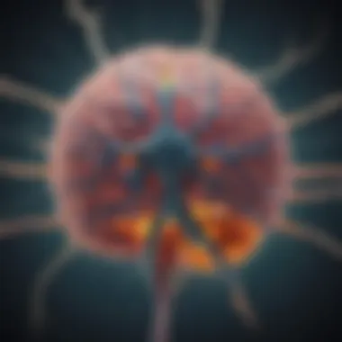 Neuroanatomy of Dopamine Pathways Dopamine pathways in the brain
