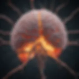 Brain neurons affected by low blood sugar