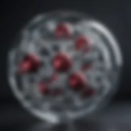 A visual representation of Lumakras molecular structure