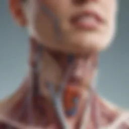 Anatomical diagram of thyroid-associated lymph nodes