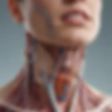 Anatomical Overview of Thyroid Lymph Nodes Anatomical diagram of thyroid-associated lymph nodes