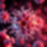 Illustration of magnesium's influence on cellular mechanisms in ovarian cancer