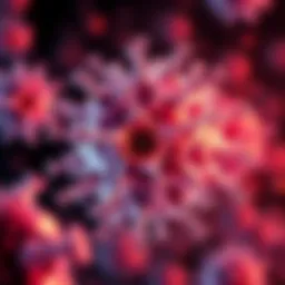 Illustration of magnesium's influence on cellular mechanisms in ovarian cancer