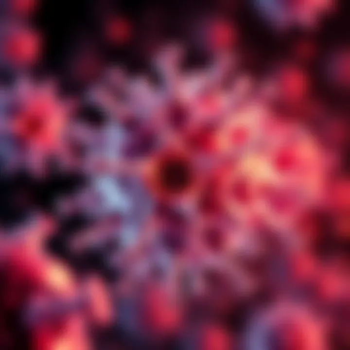 Impact of Magnesium on Cellular Mechanisms Illustration of magnesium's influence on cellular mechanisms in ovarian cancer