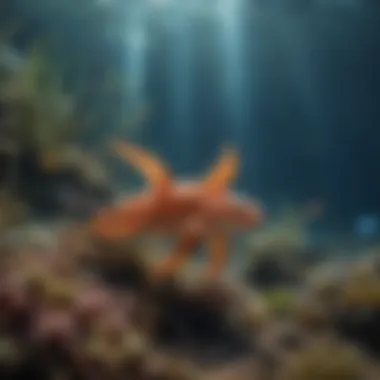 An underwater ecosystem showcasing diverse marine life