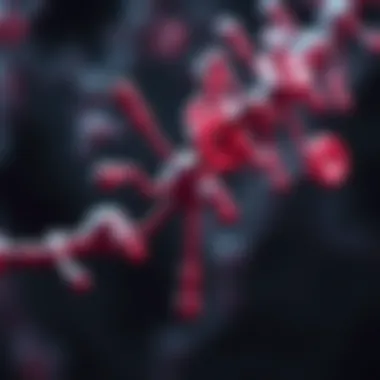 Phosphodiesterase type 5 inhibition mechanism