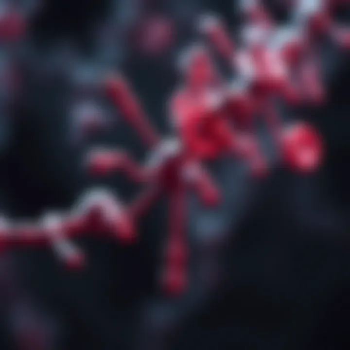 Phosphodiesterase type 5 inhibition mechanism