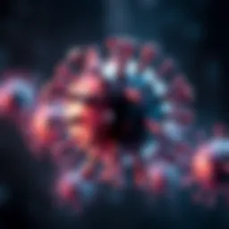 An illustration of the immune response triggered by the Meng B vaccine