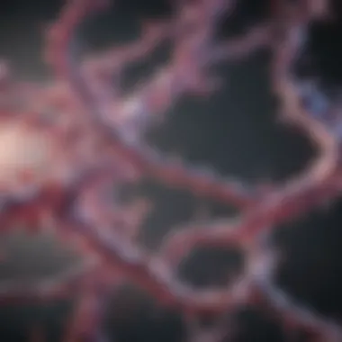 Biological Implications of Methylation Patterns Visual representation of methylation patterns in cells