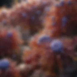 Diverse microbial communities in the gut