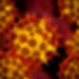 Micropapillary bladder cancer cells under a microscope