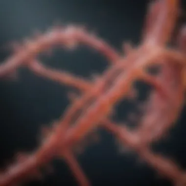 MicroRNA Interactions Illustrated Graphical representation of microRNA interactions