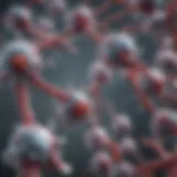 Schematic representation of monoclonal antibody structure