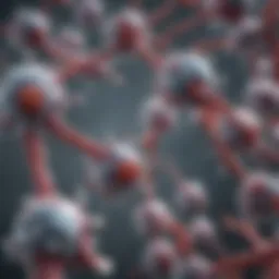 Schematic representation of monoclonal antibody structure