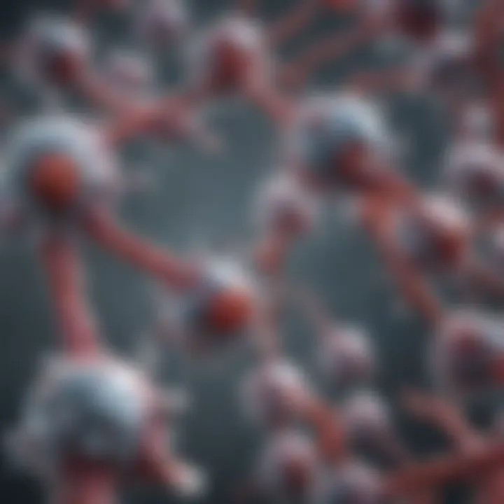 Schematic representation of monoclonal antibody structure