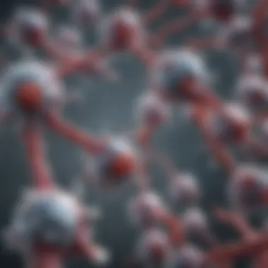 Understanding the Structure of Monoclonal Antibodies Schematic representation of monoclonal antibody structure