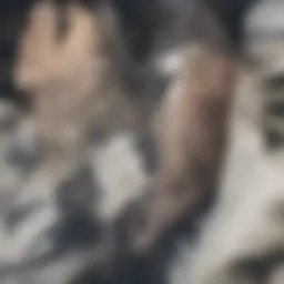 MOV18 IGE Clinical Trial: An In-Depth Exploration Introduction