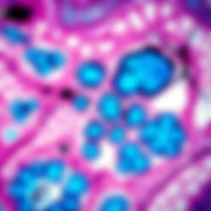 Illustration of multiplex IHC staining technique showcasing multiple biomarkers in a tissue section