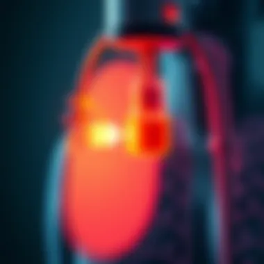 Visualization of how nebulizers deliver medication