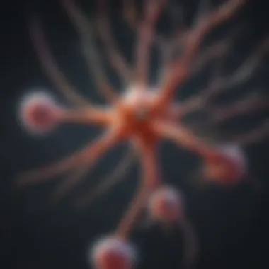 Exploring Neuron Surface Markers and Their Functional Roles Illustration depicting various neuron surface markers and their functions