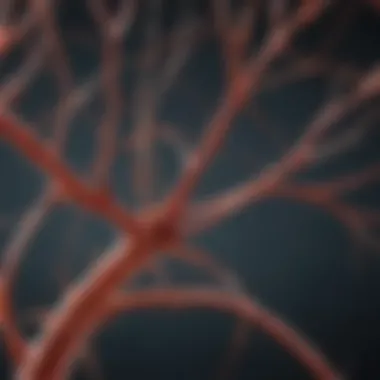 Neuron Surface Markers in Neural Development Visual representation of neuron surface markers in neural development