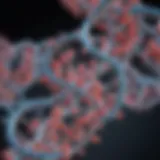 Detailed diagram illustrating the structure and functions of small RNA molecules in gene regulation
