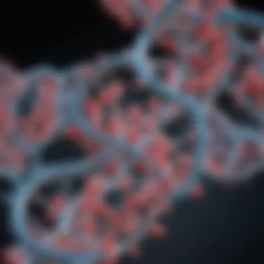 Structure and Functions of Small RNA Detailed diagram illustrating the structure and functions of small RNA molecules in gene regulation